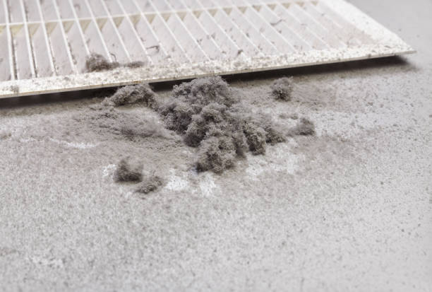 Best Air Duct Mold Removal  in Vassar, MI