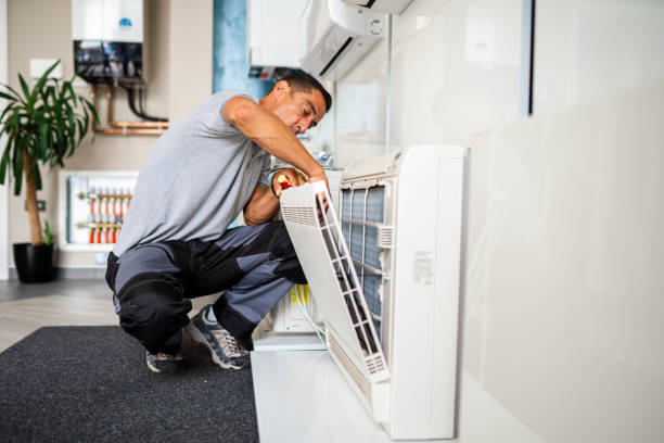 Best Home Air Vent Cleaning  in Vassar, MI