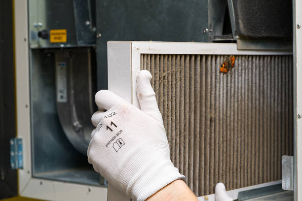 Best Air Duct Cleaning Near Me  in Vassar, MI