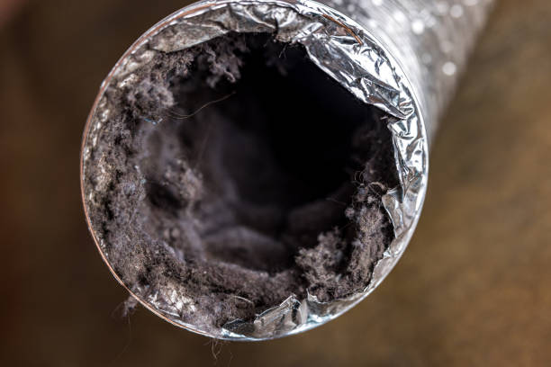 Air Duct Mold Removal in Vassar, MI
