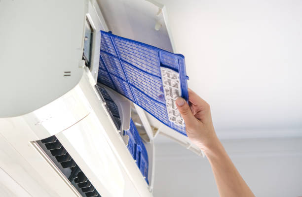 Best Local Air Duct Cleaning Services  in Vassar, MI
