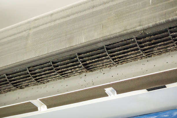 HVAC System Cleaning in Vassar, MI